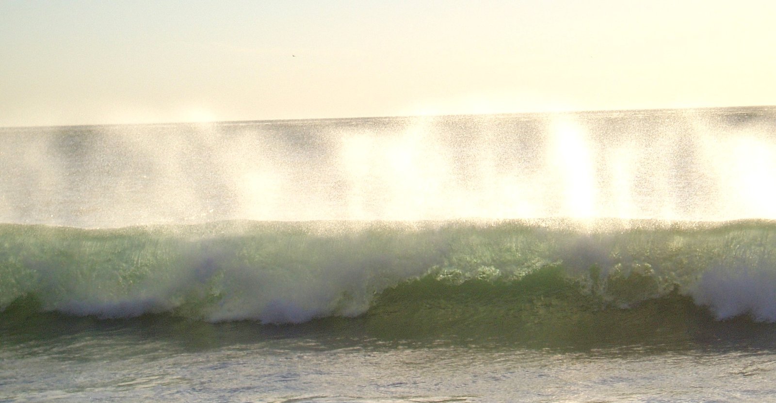 santa-ana-reverse-wave-gamma.jpg