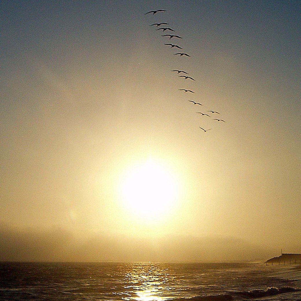 flying-to-the-sun.jpg