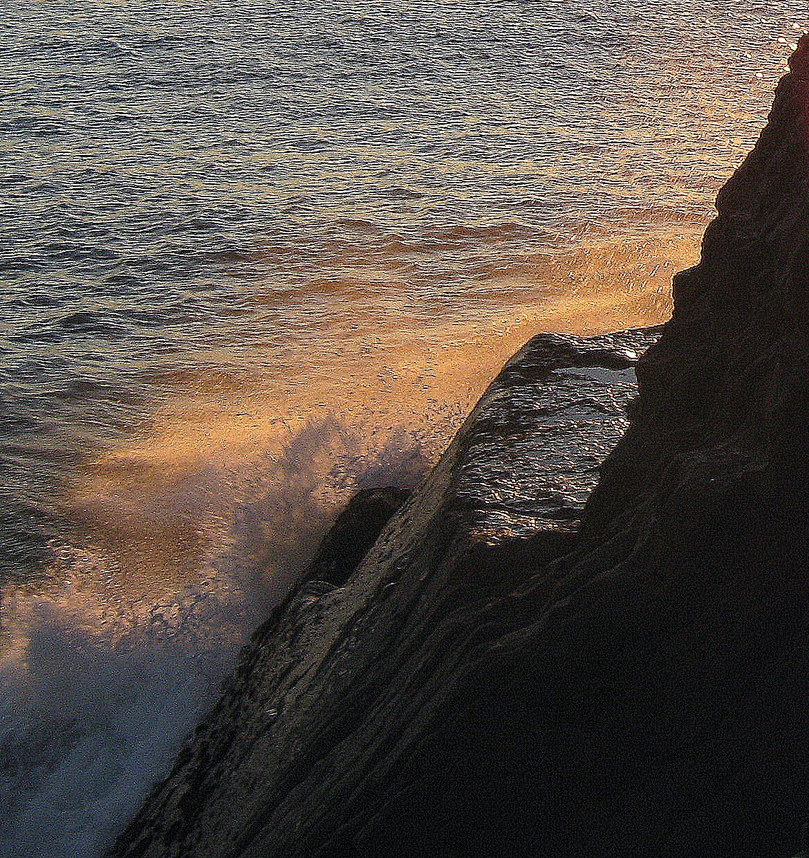 back-light-splash.jpg
